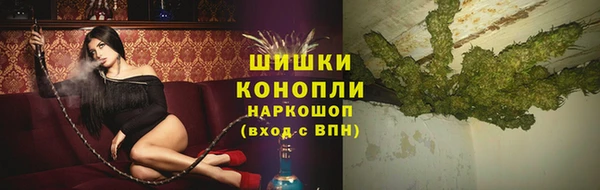 стафф Богородицк
