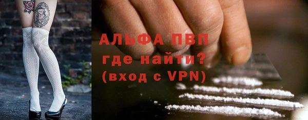 индика Дубна