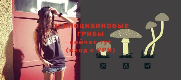 гашик Армянск