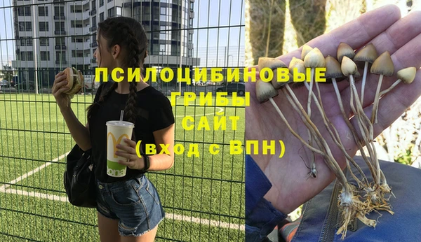 jwh Аркадак