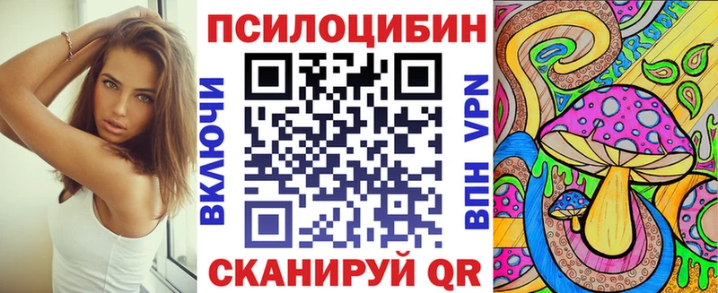 Псилоцибиновые грибы Cubensis  Междуреченск 