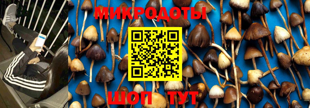 Междуреченск  Псилоцибиновые грибы Magic Shrooms  Вход с VPN 